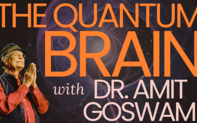Quantum Consciousness & The Brain