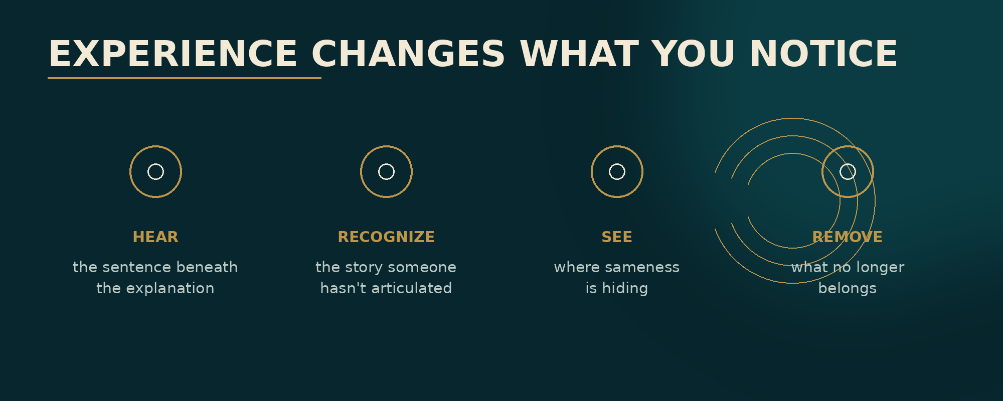 Experience Changes What You Notice